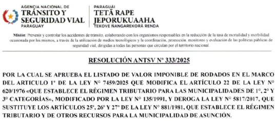 resolucion 333-2025